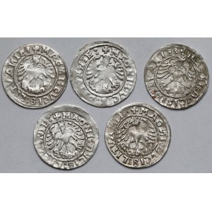 Zygmunt I Stary, Półgrosze Wilno 1519 - zestaw (5szt)