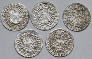 Sigismund I the Old, Vilnius 1519 half-penny - DIFFERENT name notation (5pcs)