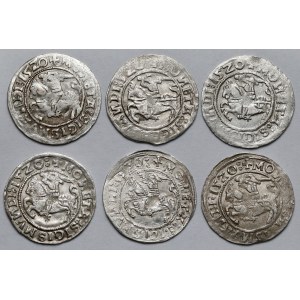 Zygmunt I Stary, Półgrosze Wilno 1520 - zestaw (6szt)