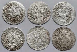 Sigismund I the Old, Vilnius 1520 half-penny - set (6pcs)