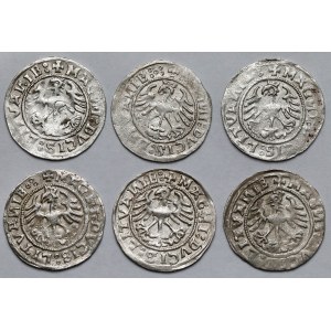 Zygmunt I Stary, Półgrosze Wilno 1520 - zestaw (6szt)