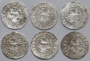 Sigismund I the Old, Vilnius 1520 half-penny - set (6pcs)
