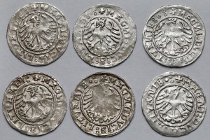 Sigismund I the Old, Vilnius 1520 half-penny - set (6pcs)