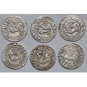 Zygmunt I Stary, Półgrosze Wilno 1521 - zestaw (6szt)