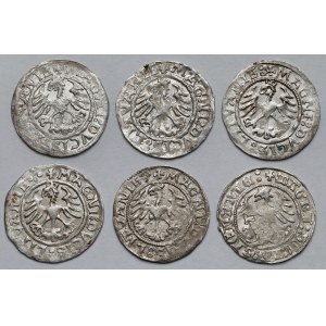 Zygmunt I Stary, Półgrosze Wilno 1521 - zestaw (6szt)