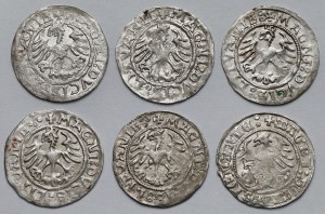 Sigismund I the Old, Vilnius 1521 half-penny - set (6pcs)