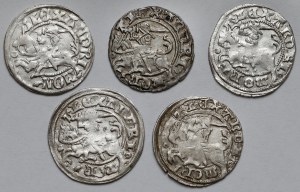 Alexander Jagiellonian, Vilnius half-penny - set (5pcs)