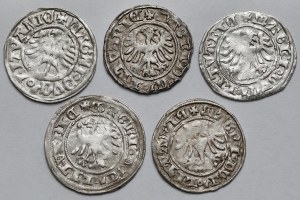 Alexander Jagiellonian, Vilnius half-penny - set (5pcs)