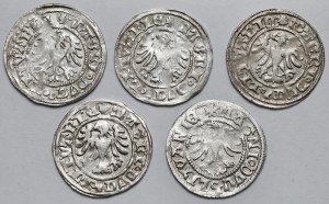 Alexander Jagiellonian, Vilnius half-penny - set (5pcs)