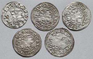 Alexander Jagiellonian, Vilnius half-penny - set (5pcs)