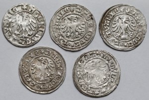 Alexander Jagiellonian, Vilnius half-penny - set (5pcs)