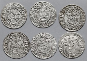 Sigismond III Vasa, Demi-traces Bydgoszcz 1620-1625 - set (6pcs)