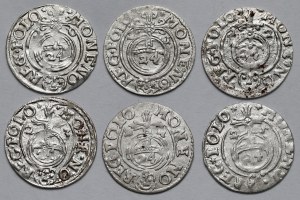 Sigismond III Vasa, Demi-traces Bydgoszcz 1620-1625 - set (6pcs)