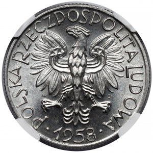 5 złotych 1958 Rybak - BAŁWANEK