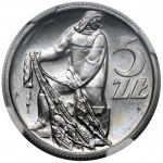 5 złotych 1958 Rybak - BAŁWANEK