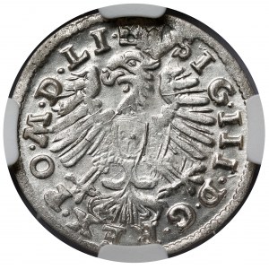 Zygmunt III Waza, Grosz Wilno 1608