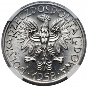 5 gold 1958 Rybak - BALWANEK