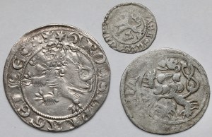 Bohême, Jean Ier de Luxembourg et Ladislas II Jagellon, centimes de Prague et Halerz unilatéral - set (3pc)
