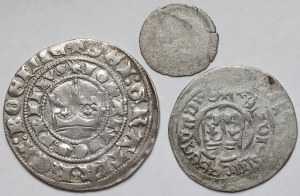 Bohême, Jean Ier de Luxembourg et Ladislas II Jagellon, centimes de Prague et Halerz unilatéral - set (3pc)