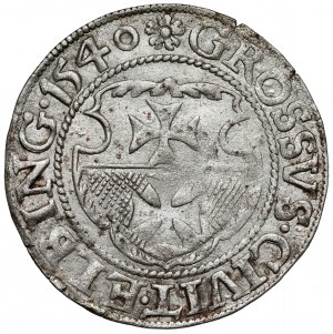 Sigismund I the Old, Penny Elblag 1540