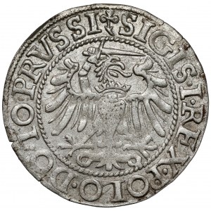 Zygmunt I Stary, Grosz Elbląg 1540
