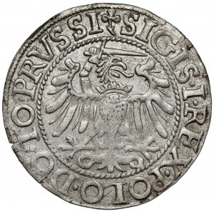 Sigismund I the Old, Penny Elblag 1540