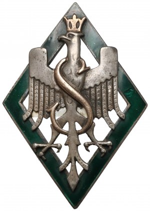 Insigne de la 5e division de fusiliers polonais [66].