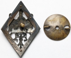 Insigne de la 5e division de fusiliers polonais [66].