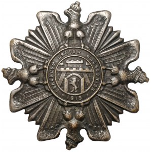Odznaka, ORLĘTA Obrońcom Kresów 1919 - wz.1