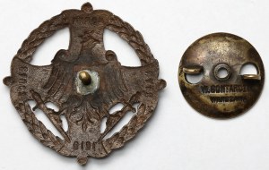 Insigne, Pour la Volhynie - Styr Horyń Słucz - 1919