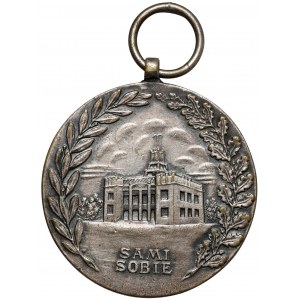 II RP, Medal strażacki X-lecia odrodzenia Polski Sami sobie kl.II