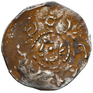 Bolesław IV Kędzierzawy, Denar - Głowa / Ptak - RZADKI