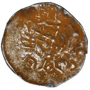 Bolesław IV Kędzierzawy, Denar - Głowa / Ptak - RZADKI