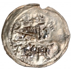 Bolesław IV Kędzierzawy, Denar - Głowa / Ptak