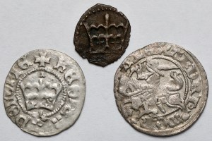 Casimir IV Jagiellonian, Jan Olbracht et Alexander Jagiellonian, Denier et demi-penny - set (3pcs)