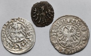 Casimir IV Jagiellonian, Jan Olbracht et Alexander Jagiellonian, Denier et demi-penny - set (3pcs)