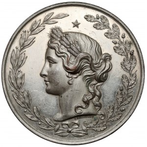Medal Krajowa Wystawa Rolnicza i przemysłowa we Lwowie 1877