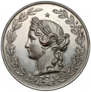 Medal Agricultural and Industrial Exhibition in Lviv 1877 - For colleagues
