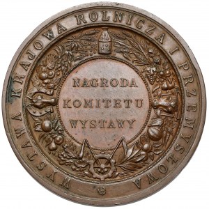 Medal, Wystawa Krajowa Rolnicza i Przemysłowa... Kraków 1887 (Pittner)