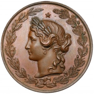 Medal Krajowa Wystawa Rolnicza i przemysłowa we Lwowie 1877