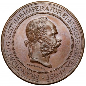 Medal, Nagroda Państwowa, Powszechna Wystawa Krajowa we Lwowie 1894