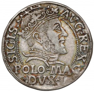 Sigismond II Auguste, Grosz na stopa polską 1546, Vilnius