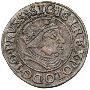 Zygmunt I Stary, Grosz Gdańsk 1538