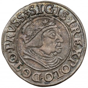 Sigismond Ier le Vieux, Grosz Gdańsk 1538