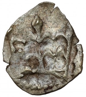 Ladislas III Varna, Denier de Cracovie