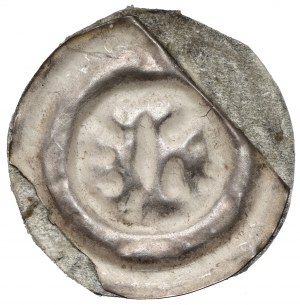 Silesia, Brakteat wide - half lion half cross
