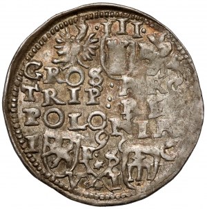 Sigismund III Vasa, Trojak Bydgoszcz 1595 - reversed 5