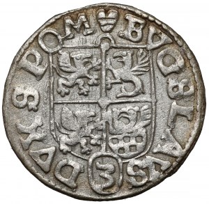 Pomerania, Rugian Princes, Boguslaw XIV, Darlowo penny 1619 - large apple