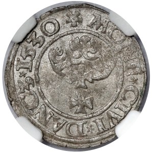 Zygmunt I Stary, Szeląg Gdańsk 1530 - piękny