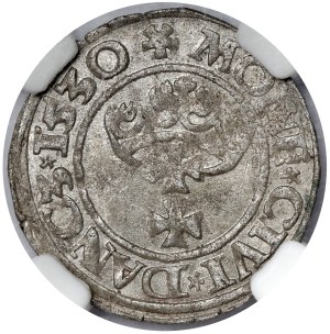 Sigismond Ier le Vieux, le Shelagus de Gdansk 1530 - beau